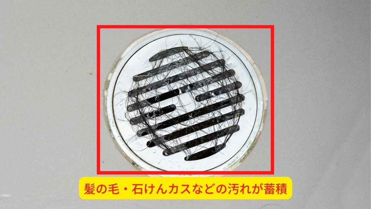 排水口は汚れが溜まりやすい
