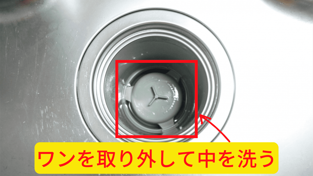 ワンなどの排水トラップも汚れると臭いの原因になる