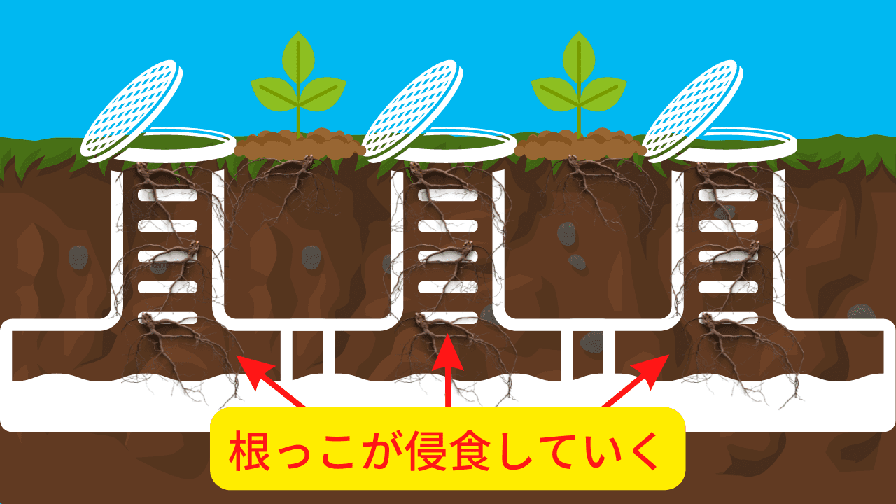 排水管や排水桝の不具合がつまりの原因になることもある