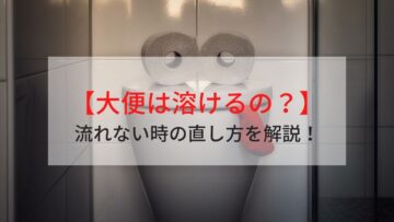 【トイレつまり】大便は何で溶ける？流れないときの直し方を解説！